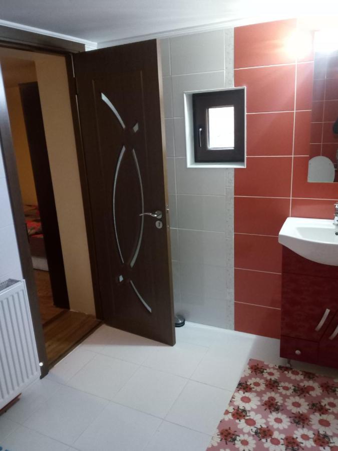 Casa Alex Otel Topliţa Dış mekan fotoğraf