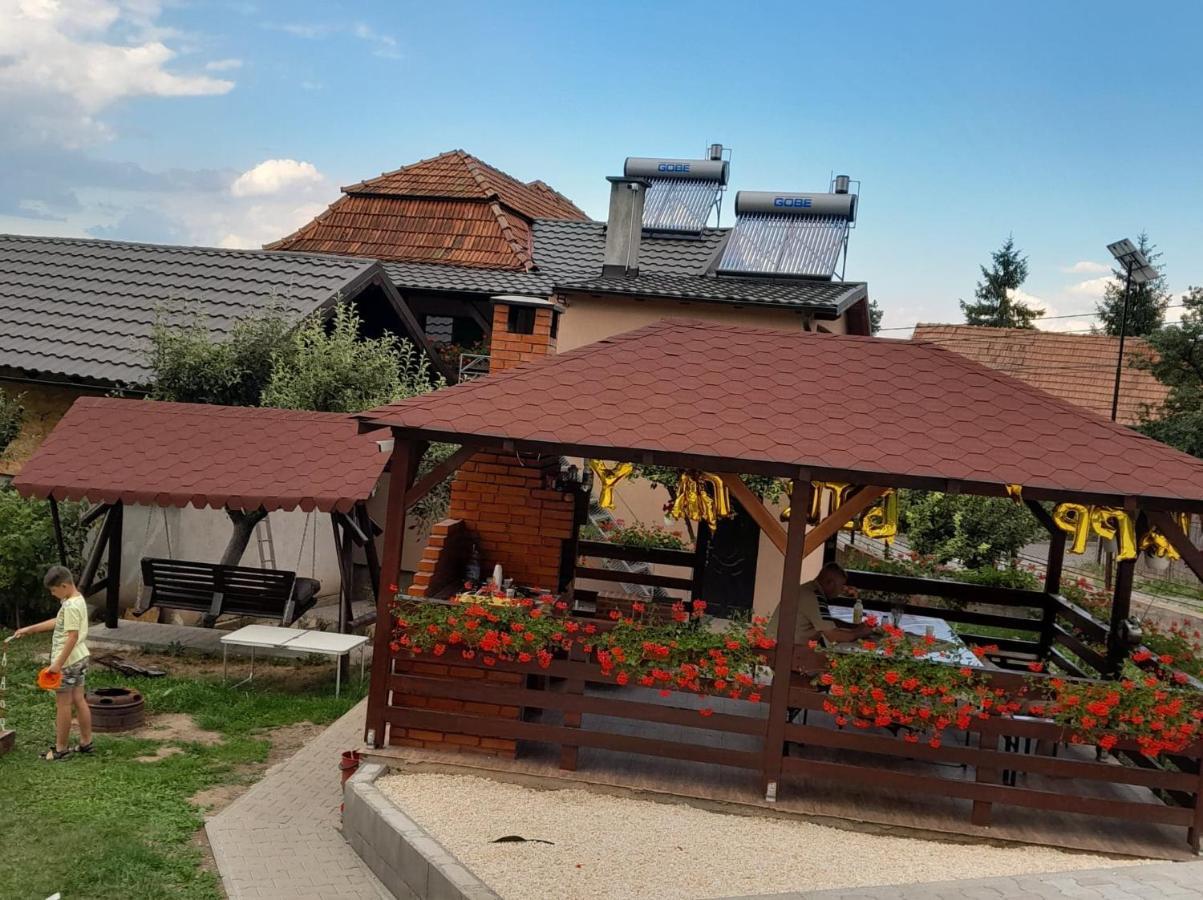 Casa Alex Otel Topliţa Dış mekan fotoğraf